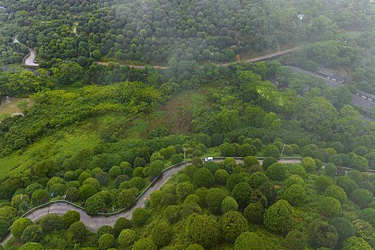 中国广西临桂,桂林之花,林业示范区雨后云雾缭绕景色秀丽