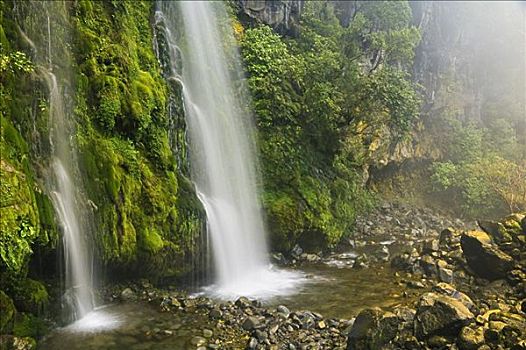 瀑布,艾格蒙特国家公园,北岛,新西兰