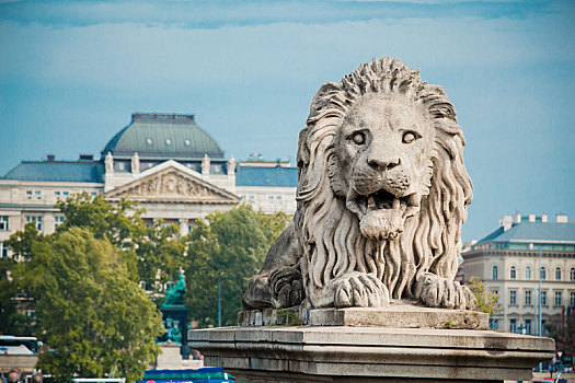 狮子,雕塑,链索桥,布达佩斯,匈牙利