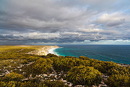靠近,石头,追逐,国家公园,袋鼠,岛屿,澳大利亚,著名,南澳大利亚州