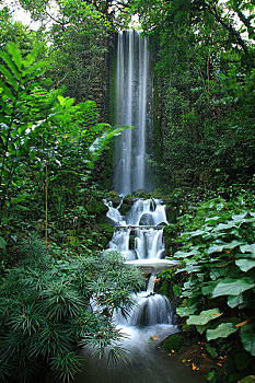新加坡国家植物园瀑布流水