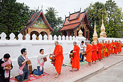 老挝,琅勃拉邦,寺院,僧侣,收集,施舍