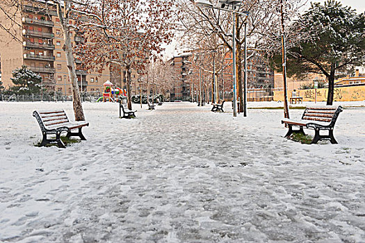 空,长椅,雪中,遮盖,地点,公园,罗马,拉齐奥,意大利
