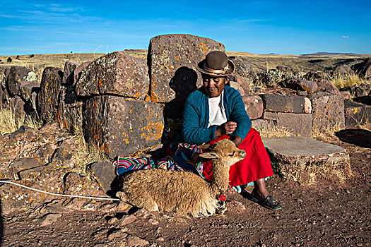 印第安女人,传统服饰,坐,石墙,原驼,墓地,普诺,区域,秘鲁,南美