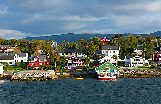 挪威,小,彩色,捕鱼,房子,家,水