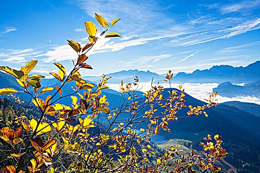 秋天,山,高处,萨尔茨堡,奥地利
