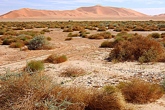 干燥,半荒漠,风景,正面,沙丘,撒哈拉沙漠,利比亚,非洲