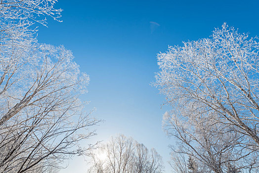 冬季长白山的雪地和雾凇