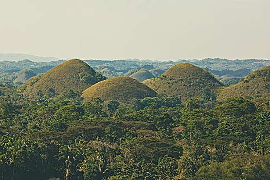 风景,著名,怪异,巧克力,山,保和省,菲律宾