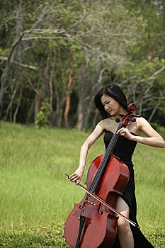 女人,演奏,大提琴,围绕,自然