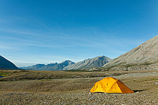 探险,帐蓬,北极,苔原,露营,风,河,后面,外皮,育空地区,加拿大