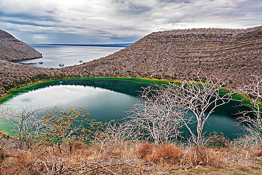 泻湖,加拉帕戈斯