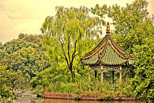 公园,上海