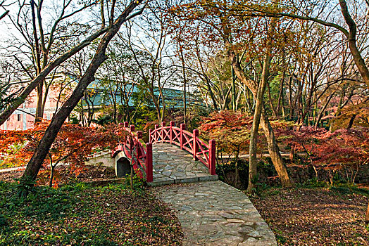 南京中山植物园景观