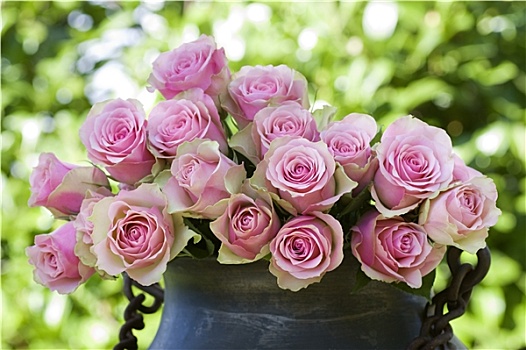 漂亮,玫瑰,老式,花瓶