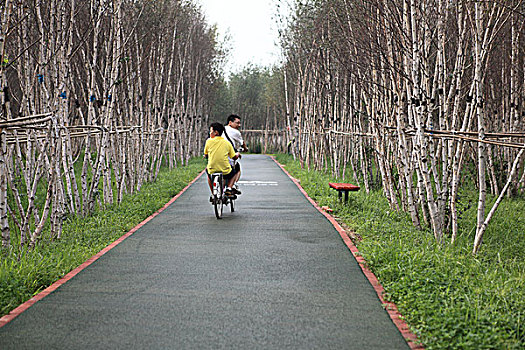綠道親子騎游