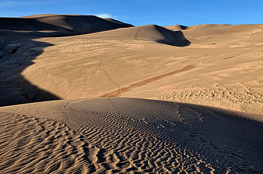 沙丘,风景,脚印,国家公园,科罗拉多,美国,北美