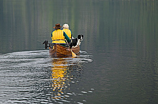 桨手,独木舟,湖,靠近,黄金,河,温哥华岛,不列颠哥伦比亚省,加拿大