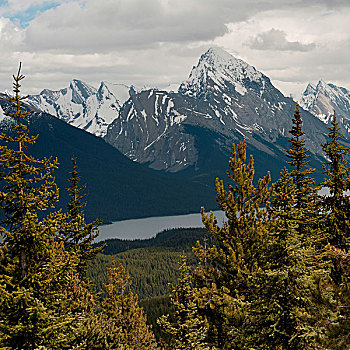 积雪,山,秃头,碧玉国家公园,艾伯塔省,加拿大