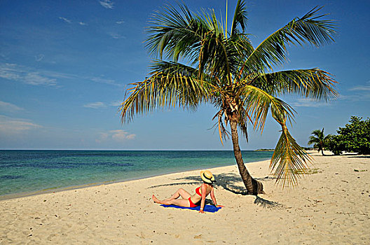 旅游,棕榈树,树,海滩,干盐湖,肘,靠近,特立尼达,古巴,加勒比