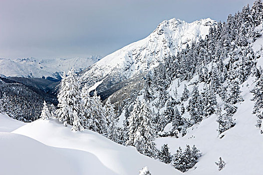冬季风景,瑞士国家公园,瑞士,欧洲
