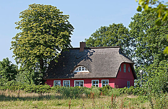 房子,茅草屋顶,屋顶,吕根岛,梅克伦堡前波莫瑞州,德国,欧洲