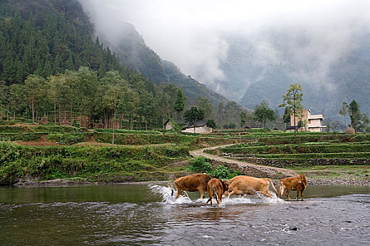 贵州山村风光