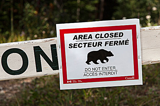 警告标识,熊,禁止入内,班芙国家公园,加拿大,北美