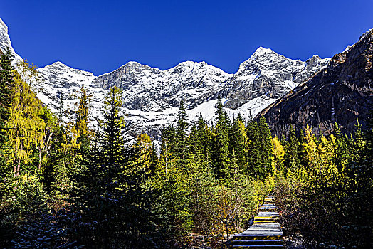 双桥沟四姑娘山