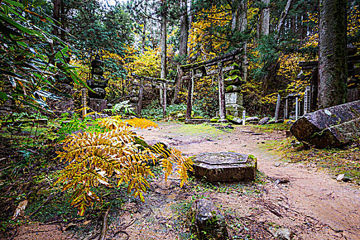 高野山,日本