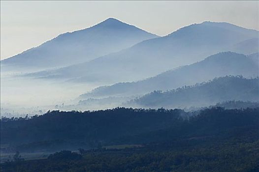 山峦,雀,山谷,昆士兰,澳大利亚