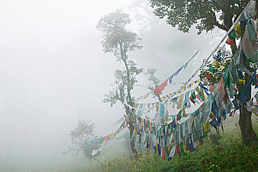 不丹,廷布,祈祷,旗帜,雾气