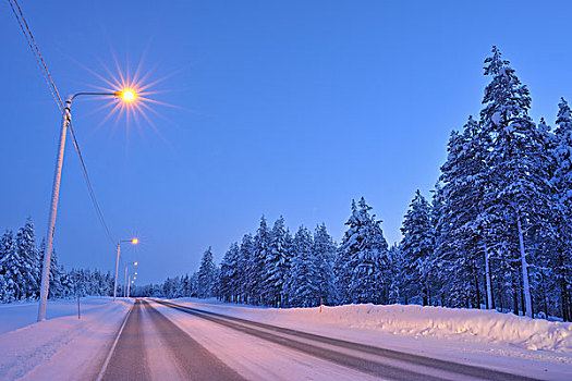 道路,冬天,库萨莫,北方,芬兰