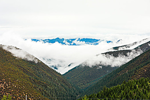 峡谷中的绿水青山