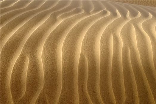沙丘,锡,阿尔及利亚,撒哈拉沙漠,北非