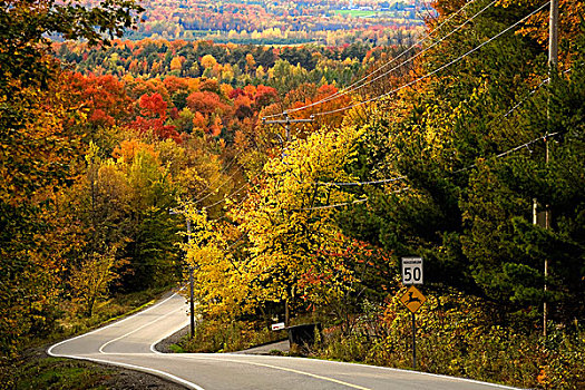 乡村道路,魁北克,加拿大