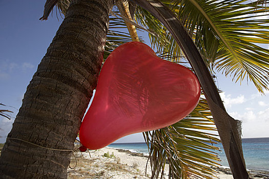 心形,气球,粉色,海滩,博奈尔岛,荷属列斯群岛