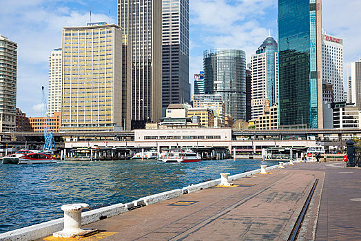 环形码头,悉尼,市中心