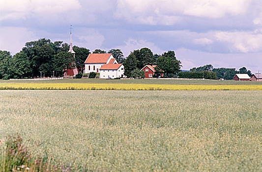 风景,乡村,地点,油菜籽,瑞典