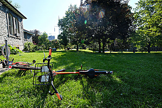多伦多大学草坪上的自行车