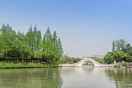 公园池塘边树林草地石桥