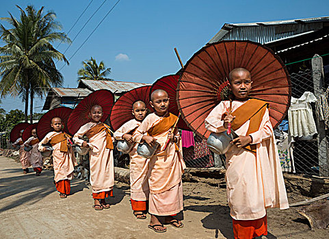 缅甸,靠近,仰光,城市,女僧侣
