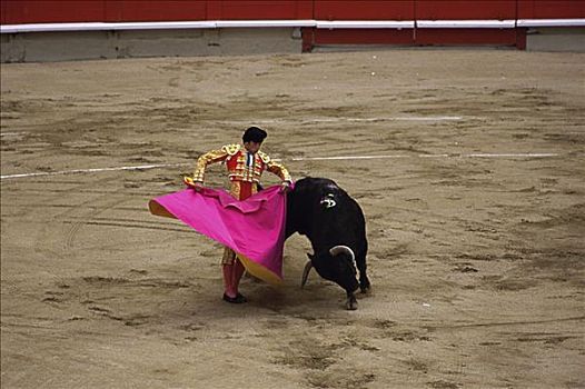斗牛,巴塞罗那,西班牙