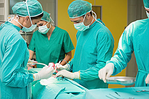 外科,手术工具,手术室