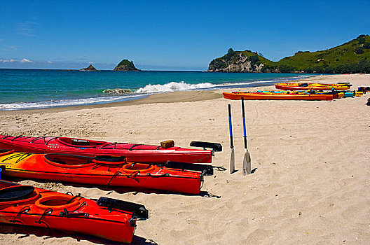 新西兰,北岛,科罗曼德尔,红色,海洋,皮划艇,白色背景,沙子
