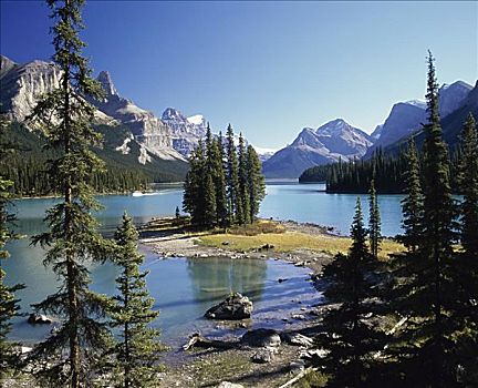 岛屿,玛琳湖,碧玉国家公园,艾伯塔省,加拿大