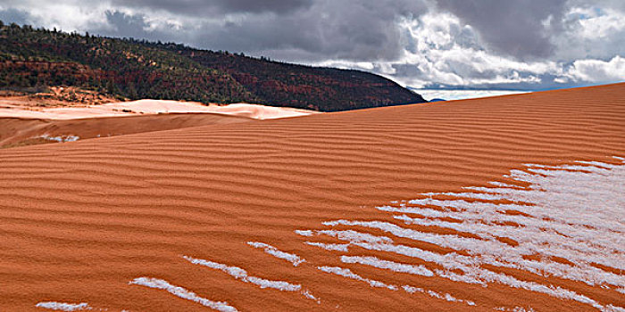 雪,州立公园,犹他,美国