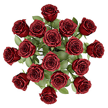 俯视,花束,红玫瑰,花瓶,隔绝