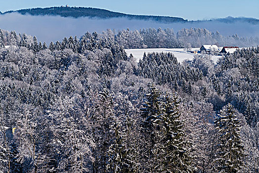 奥地利,萨尔茨堡,冬季风景