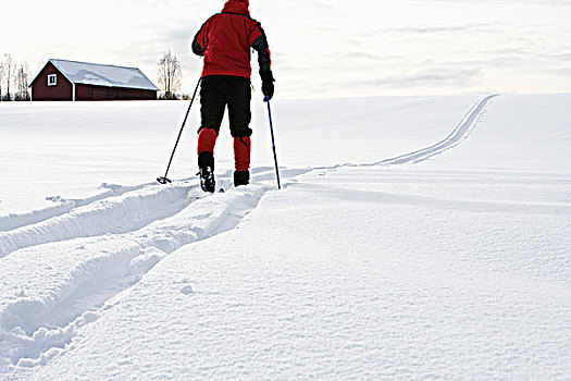 男性,滑雪者,瑞典